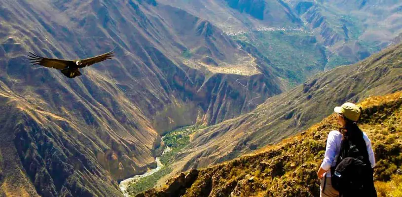 Mirador de Chonta