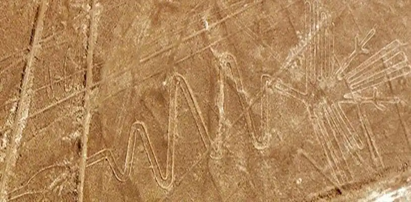 Lineas de Nazca- Pájaro Gigante Alcatraz