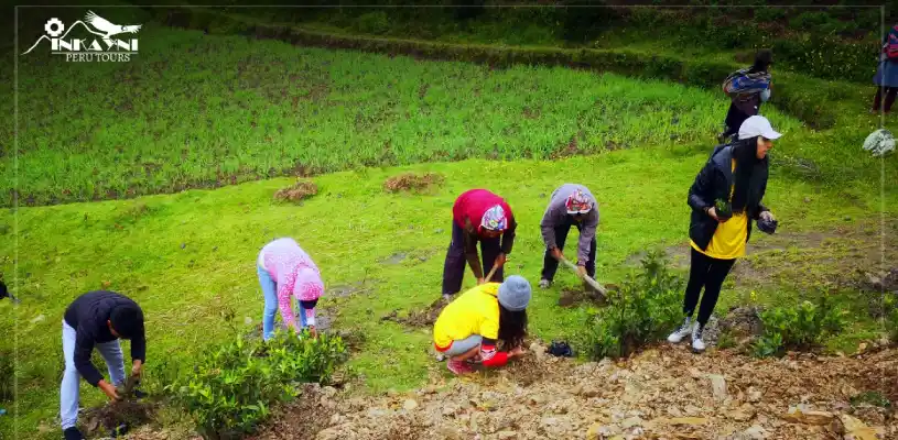 Responsabilidad Social: Campaña de reforestación en Pisaq
