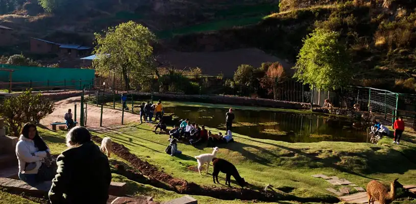 El Santuario Animal de Ccochahuasi en la Magía de los Andes