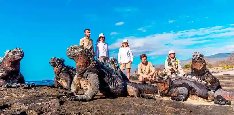 iguanas colina Dragon . inkayni peru tours
