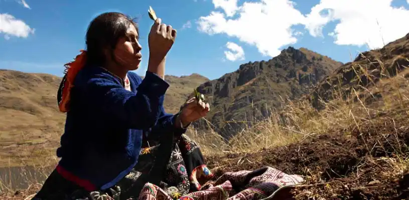 papa watat inkayni peru tours