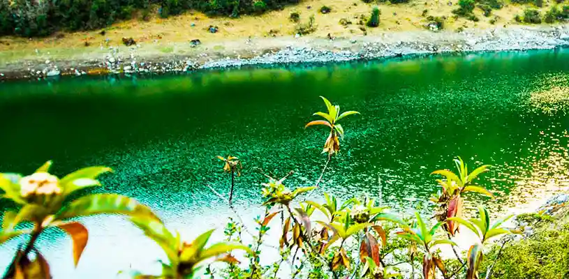 May 22, International Day for Biological Diversity May 22, International Day for Biological Diversity