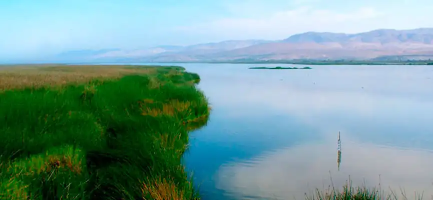 Santuario Nacional Lagunas de Mejia