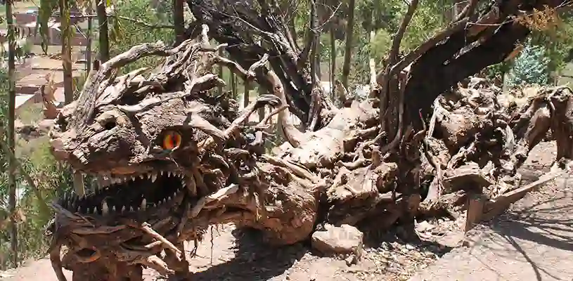 El bosque de los "Ents del señor de los anillos!