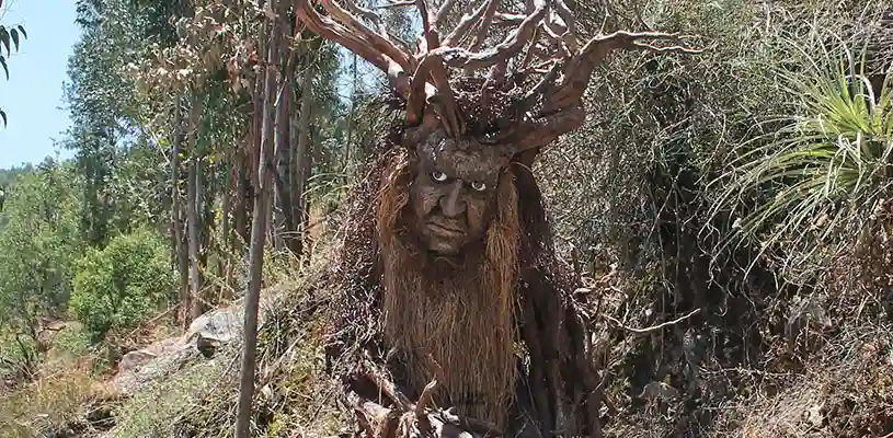 Bosque de los “Ents del Señor de los anillos”, Huasao