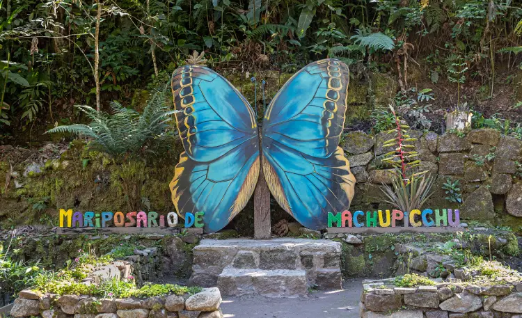 Aguas Calientes butterfly area