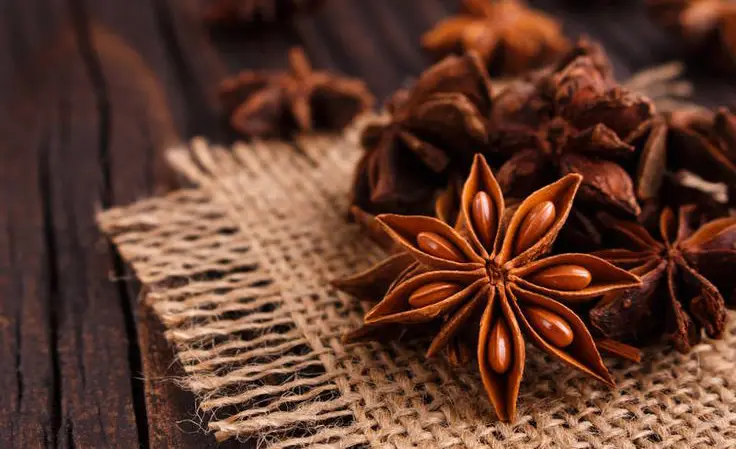Anise is a plant known for its aromatic seeds and its use in cooking and medicine.
