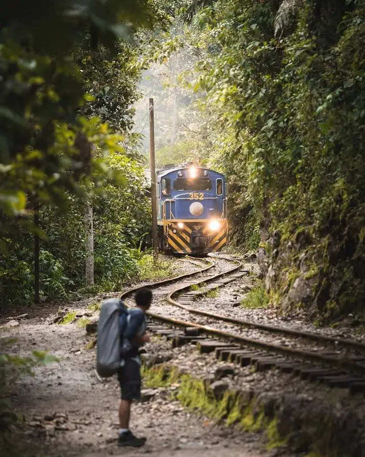 train forest track traveler backpack