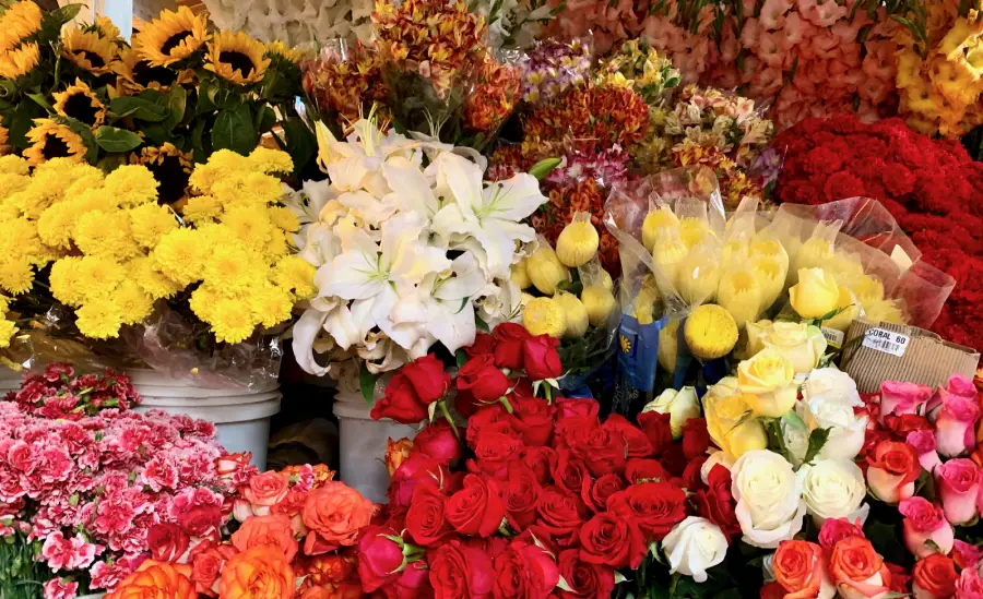 Flores a la venta en el mercado de Wanchaq