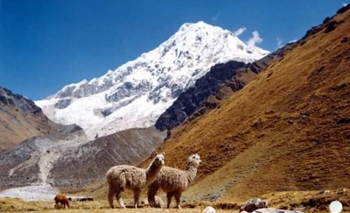 Día Internacional de las Montañas, Salkantay Trek Salkantay Trek vs Inca Trail