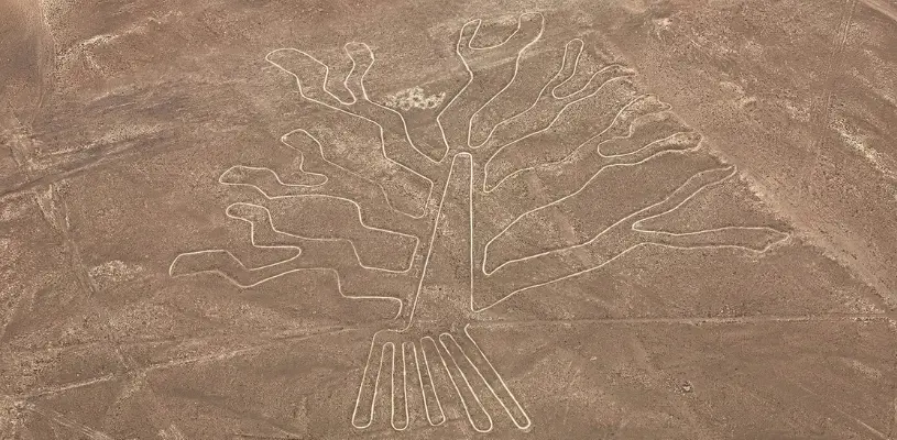 Tree geoglyph in the Nazca Lines
