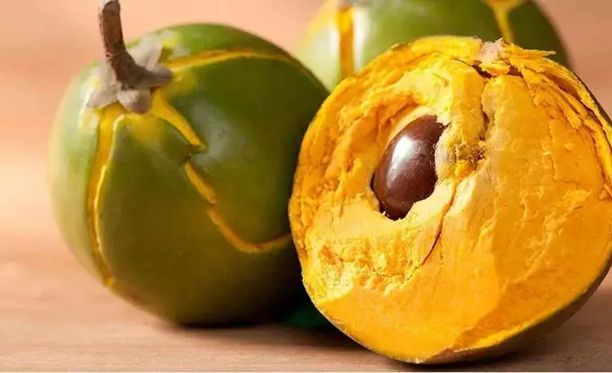 Lúcuma fruit native to Peru, Chile, and Ecuador.