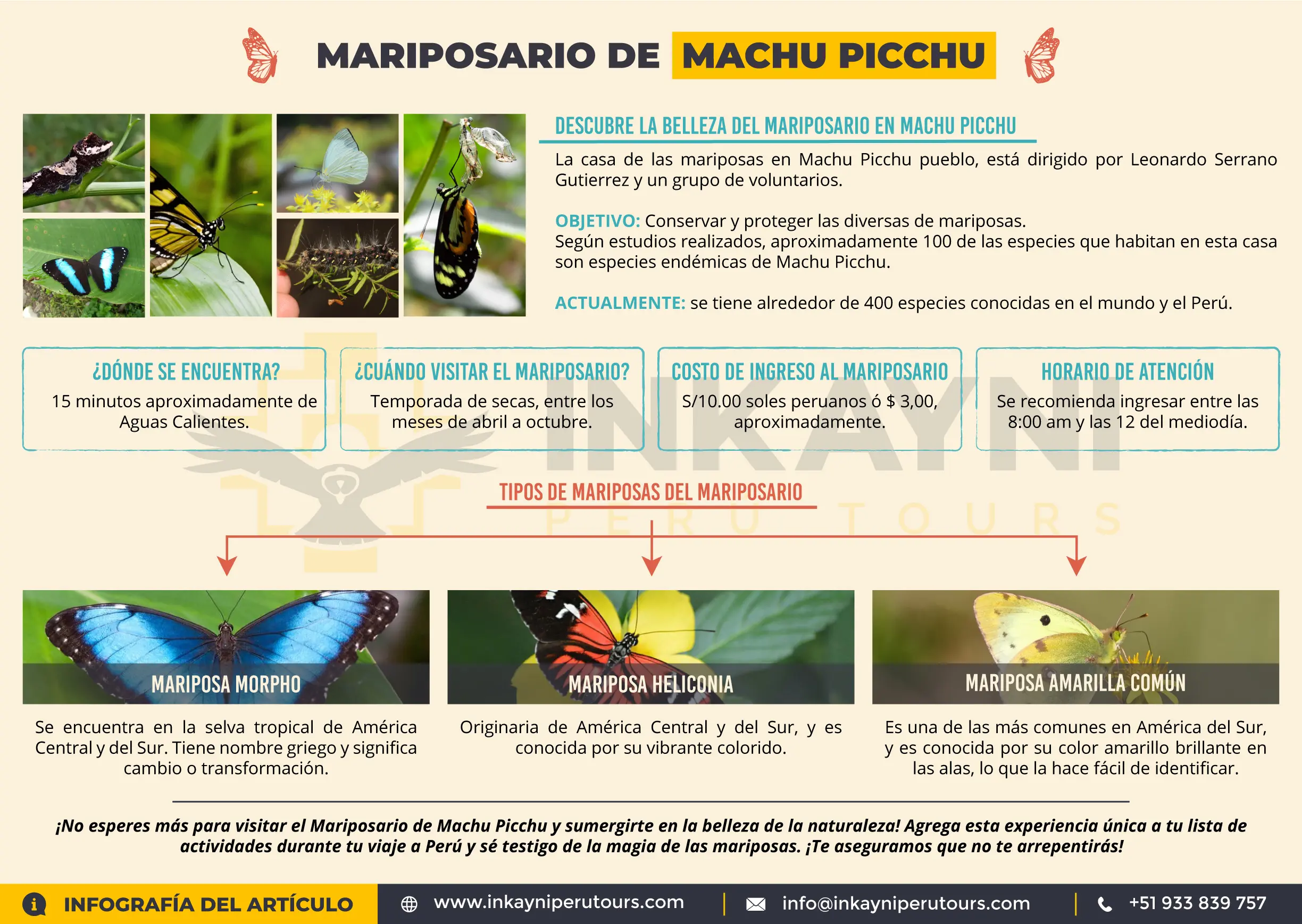 Mariposario de Machu Picchu | Todo lo que tienes que saber / Infografía @inkayniperutours