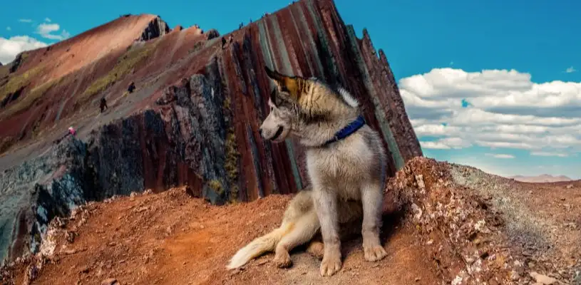 Pallay Poncho: Descubre la nueva montaña de colores