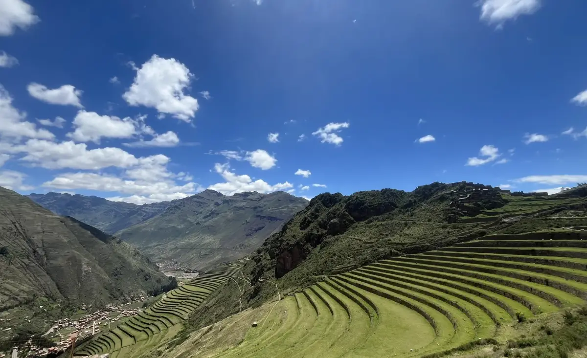 Pisac ruins on a sunny day with striking grass colors.