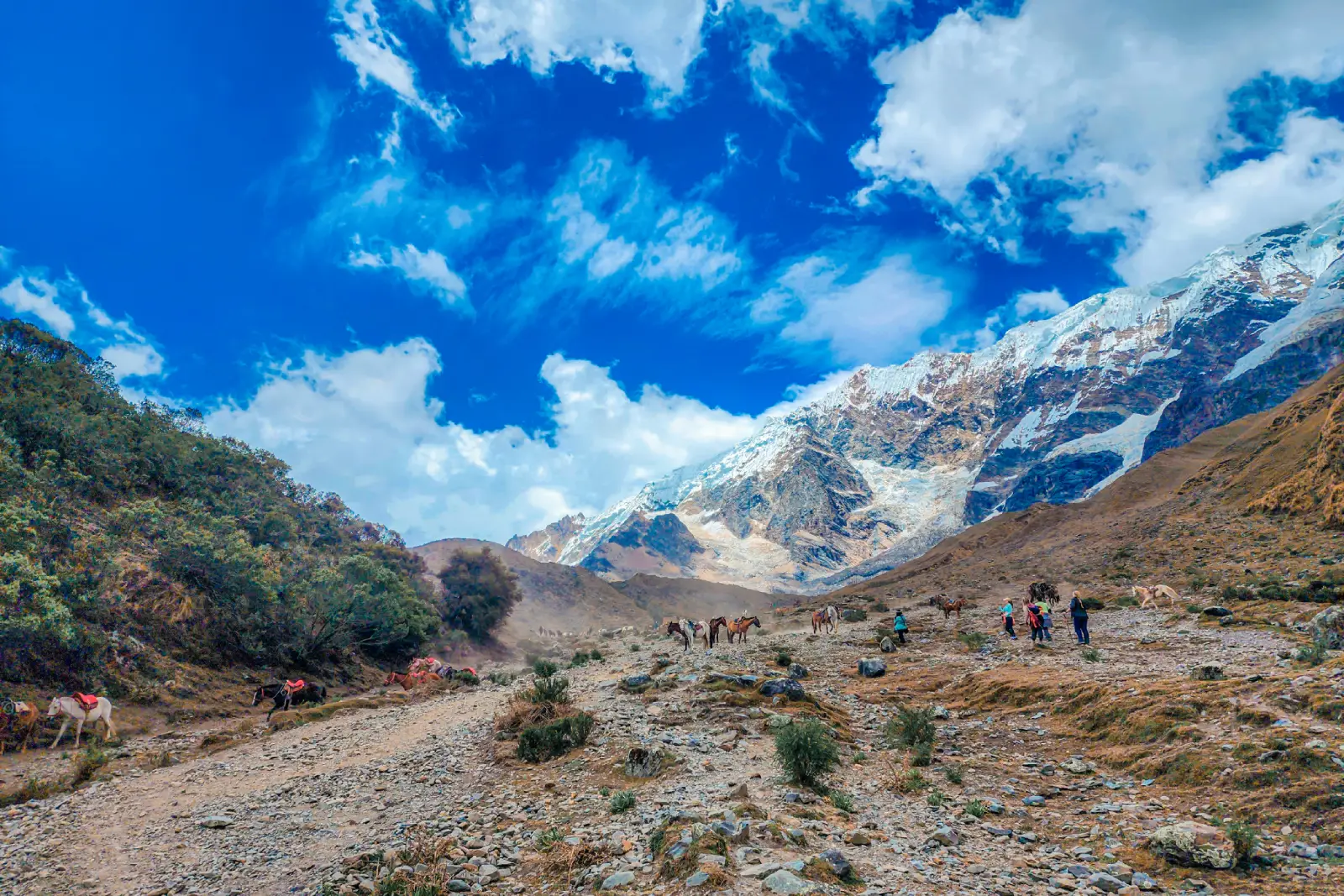 Horses, trekkers, and glacier-covered mountains in the upper valley section of the Salkantay Trek.