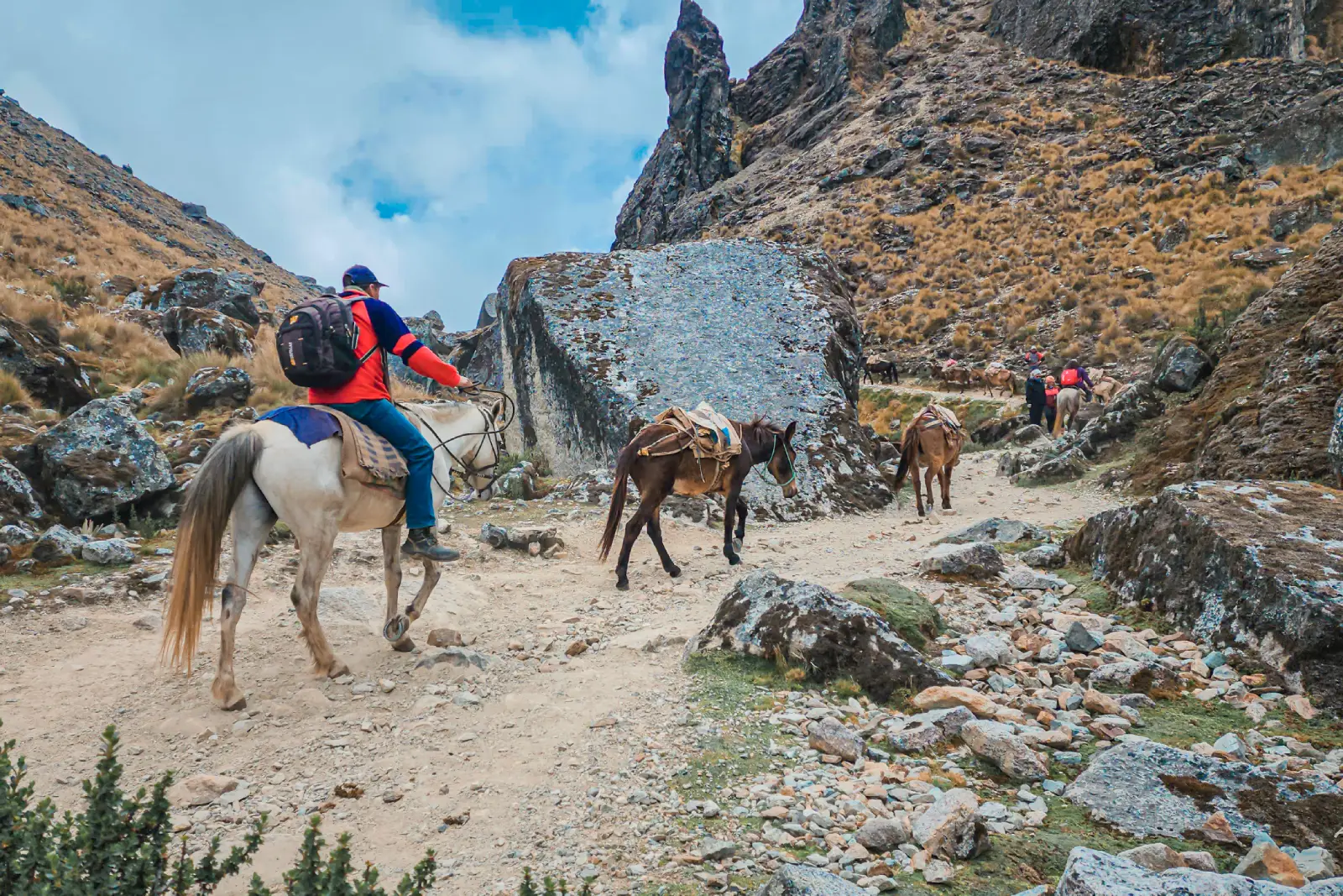 Upper Salkantay valley with horses and glacier scenery on the combined trek