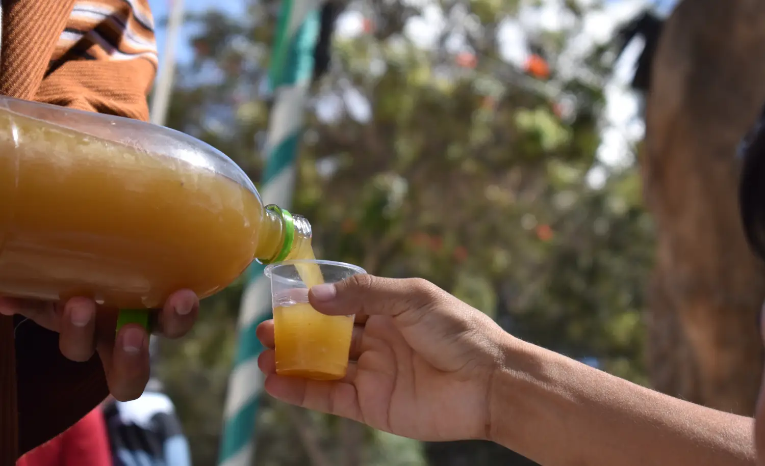 Sharing chicha de jora in plastic cups.