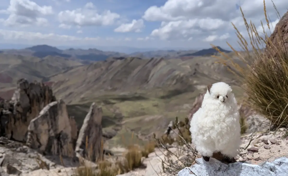 Pequeño adorno de llama en la montaña de colores Palccoyo.