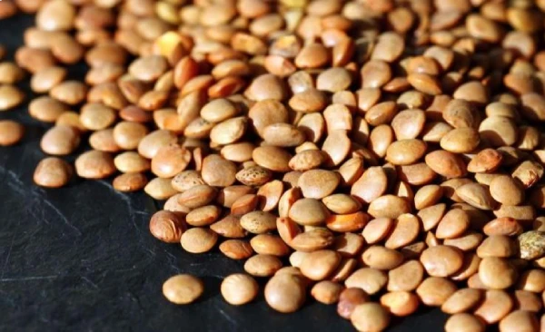 Símbolos de buena suerte: lentejas en el bolsillo como símbolo de abundancia en el nuevo año