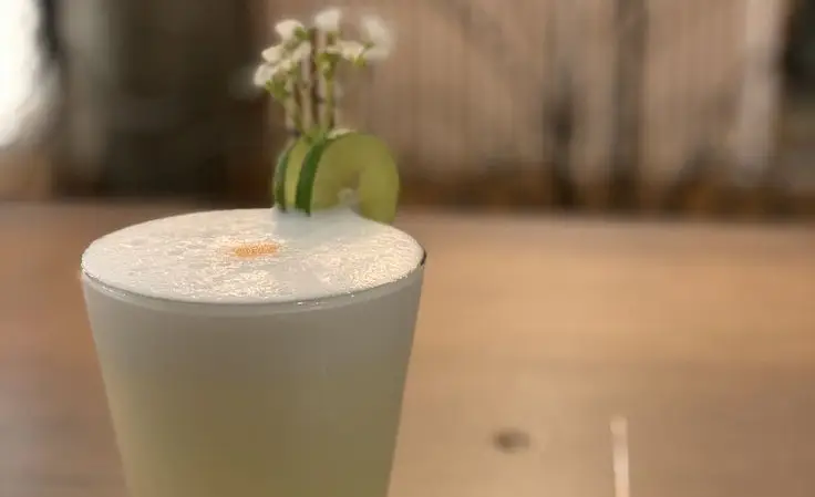 The Peruvian Pisco Sour cocktail recipe showcases South American culture.