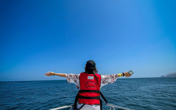 Tour a las Islas Palomino, mar del Callao, nadar con lobos marinos