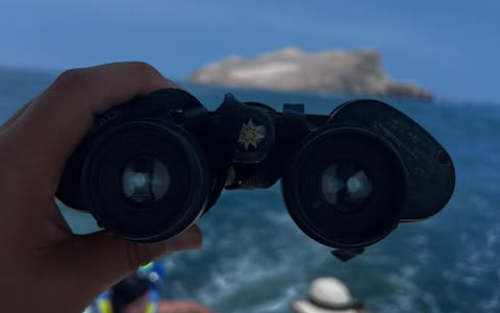 Tour a las Islas Palomino, mar del Callao, nadar con lobos marinos