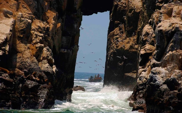 Tour a las Islas Palomino, puerto del Callao, nadar con lobos marinos