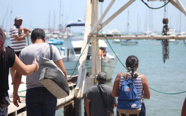 Tour a las Islas Palomino, puerto del Callao, nadar con lobos marinos, excursión marina en el Callao