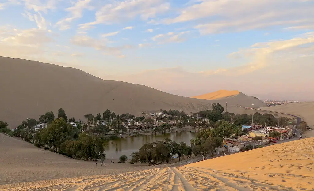 Ecosistema único de la Huacachina, Ica
