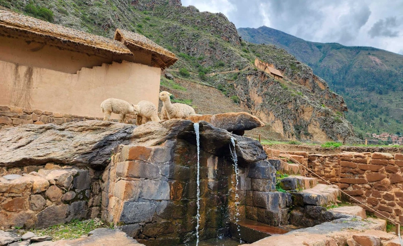 Culto al agua en Machu Picchu, la importancia del agua en la cosmovisión andina. Ingeniería agrícola inca