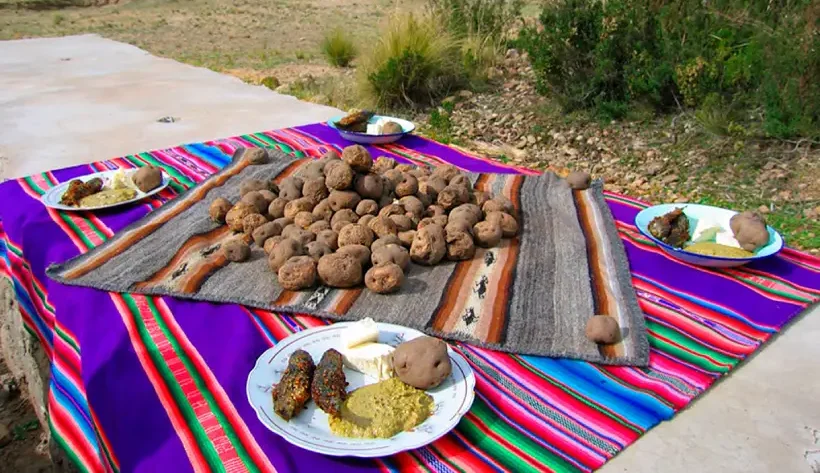 Andean picnic spread with huatia potatoes cooked in an earthen oven, served on colorful woven textiles with plates of cheese and spicy sauces outdoors.