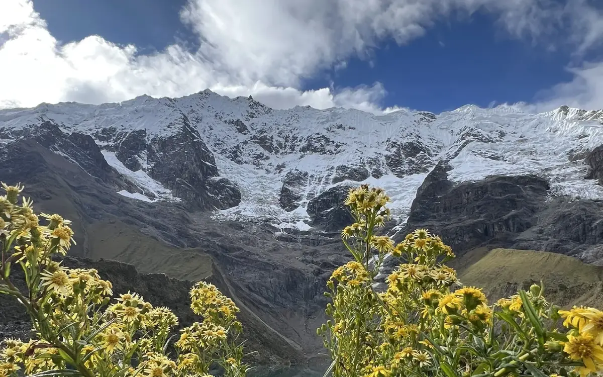 Flores amarillas con la montaña del Salkantay al fondo. Laguna Humantay después de Machu Picchu