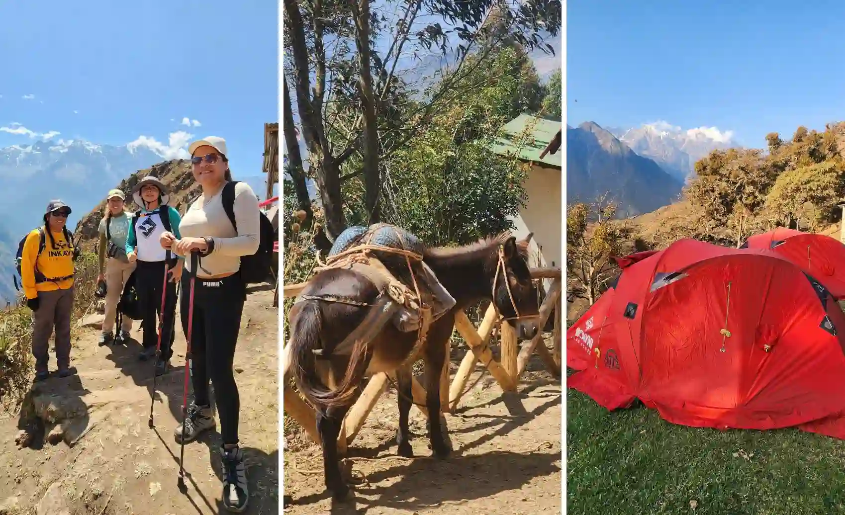 Hikers begin the Choquequirao Trek with pack mules carrying camping gear along a dirt trail in the Apurímac canyon near Cusco.