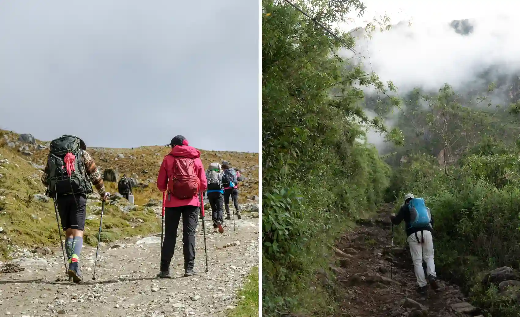 Choquequirao vs Salkantay: Which Trek Is Harder and Why? Choquequirao vs Salkantay: Which Trek Is Harder and Why?