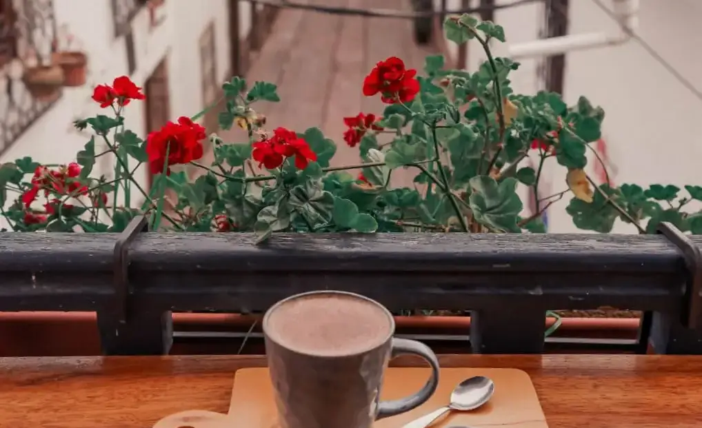 Cafeterías en Cusco