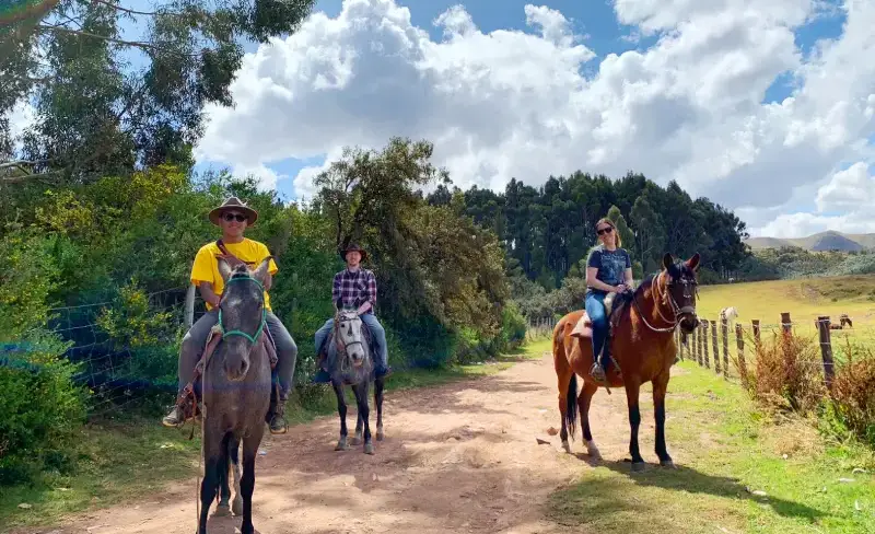 Noon, Horseback Riding in Cusco, Outdoor Activity