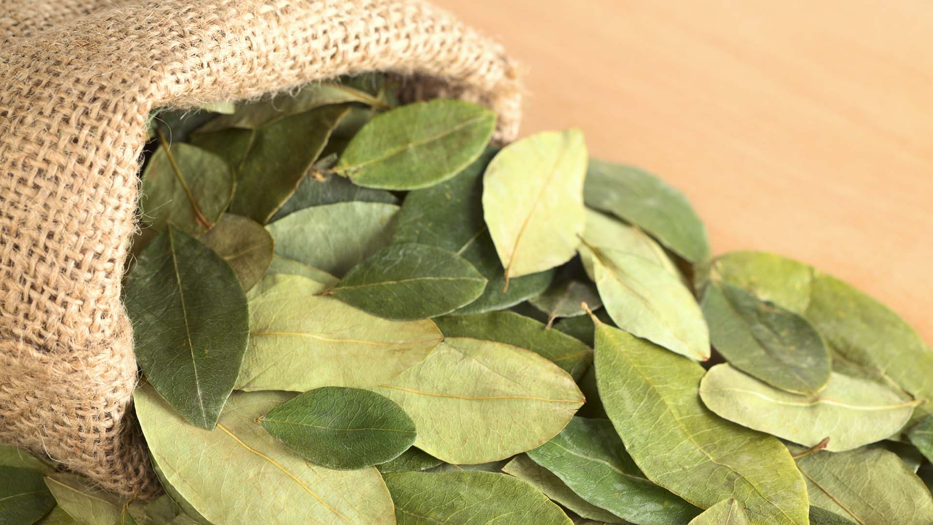 Hojas de coca, para lectura de hoja de coca