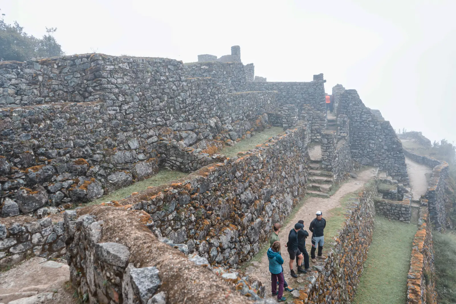 Misty stone terraces at Phuyupatamarca, one of the highest archaeological sites on the Inca Trail.