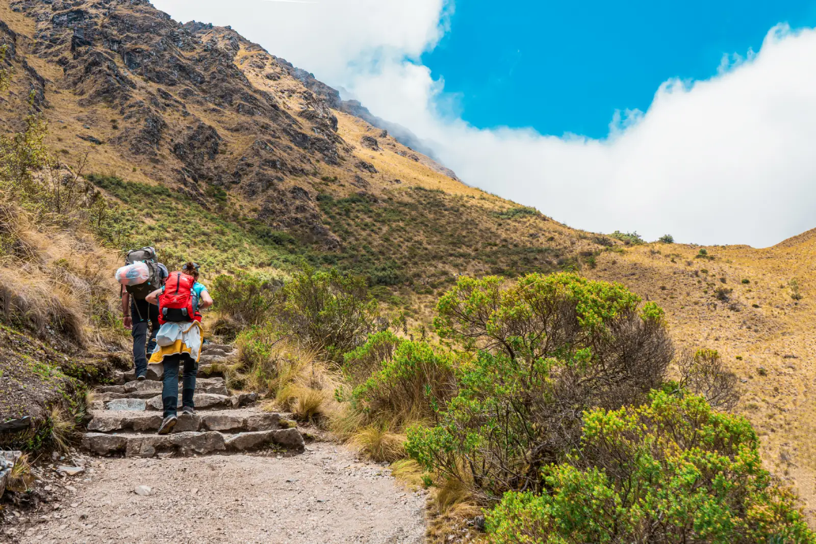 Stone steps cross high puna terrain near Warmiwañusca Pass on the Classic Inca Trail.