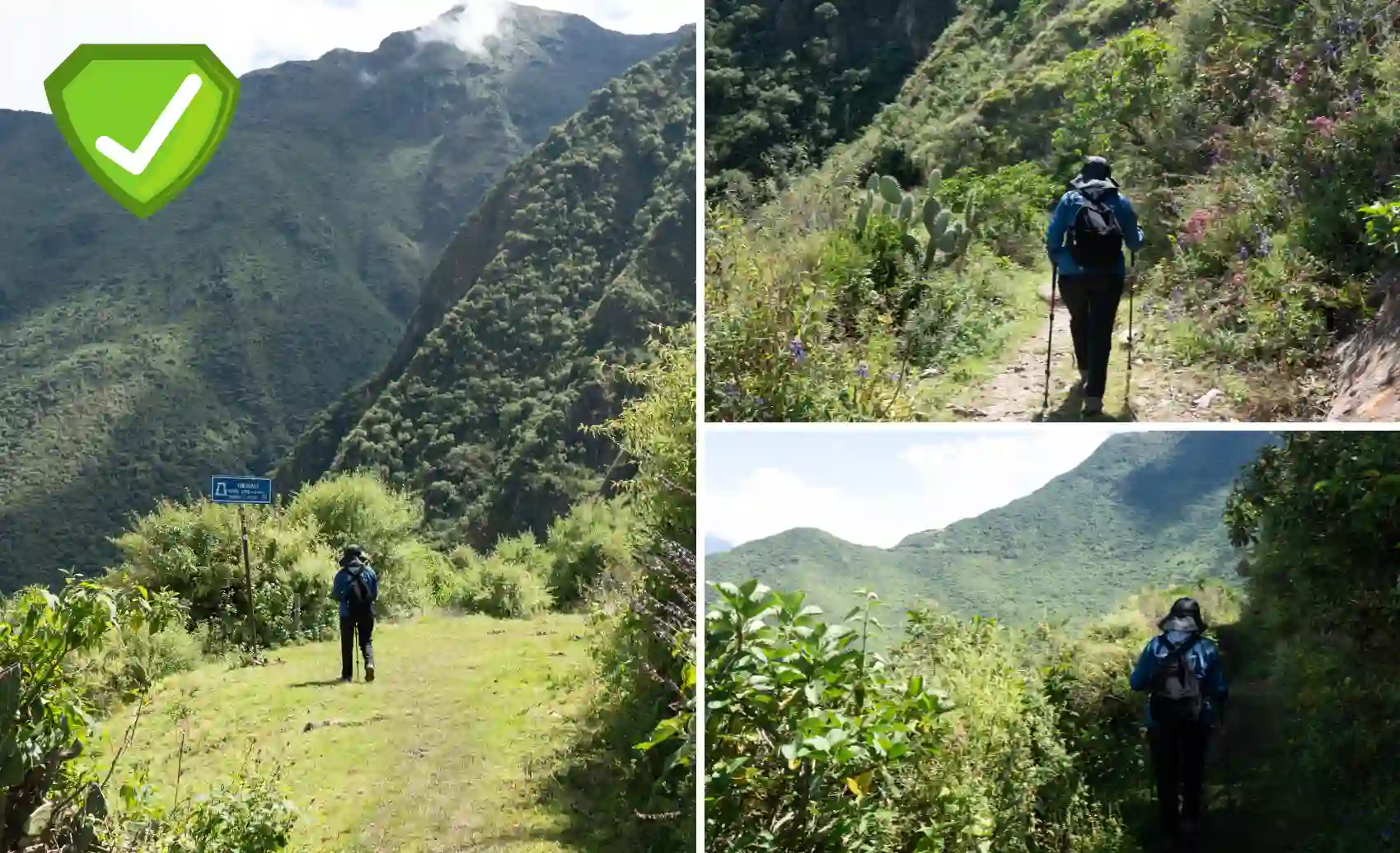 Female trekker with backpack walking alone on narrow Choquequirao Trek path surrounded by green mountains, dense vegetation and clear blue sky in Cusco Peru.