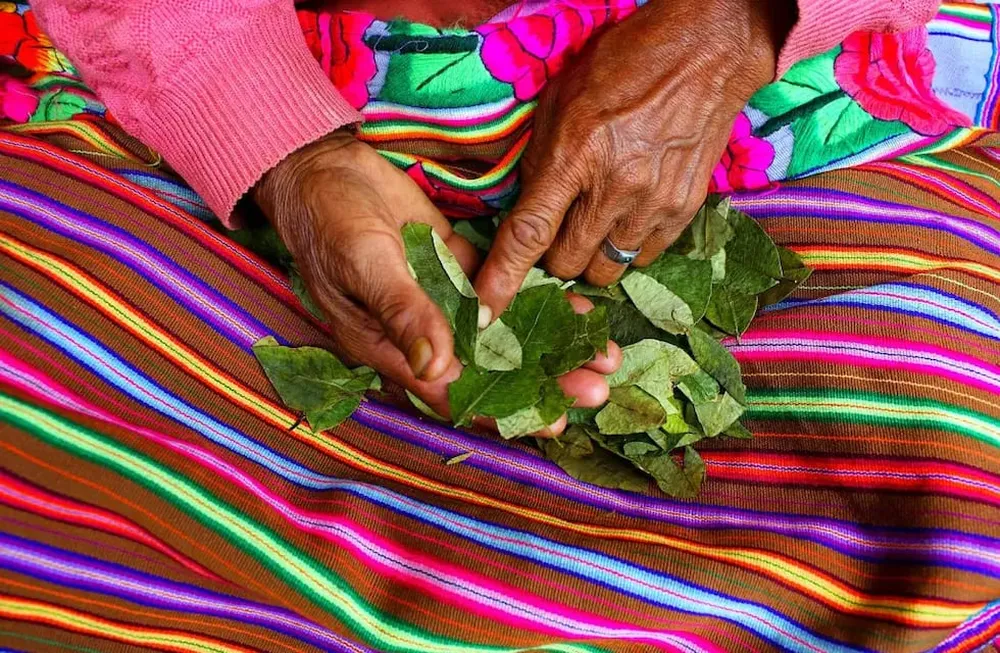 Mujer andina, en plena ceremonia de lectura de la hoja de coca