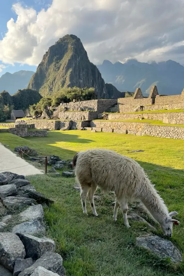 Sendero de Machu Picchu con montañas verdes, cielo azul y luz suave del sol