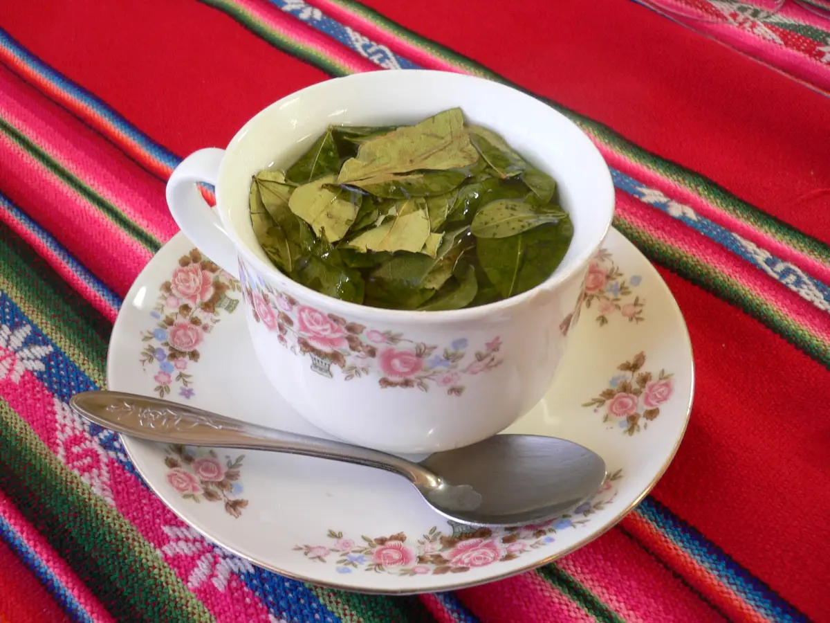 ruta del sol aclimatación hojas de coca mate cuchara pequeña manta como individual taza de flores