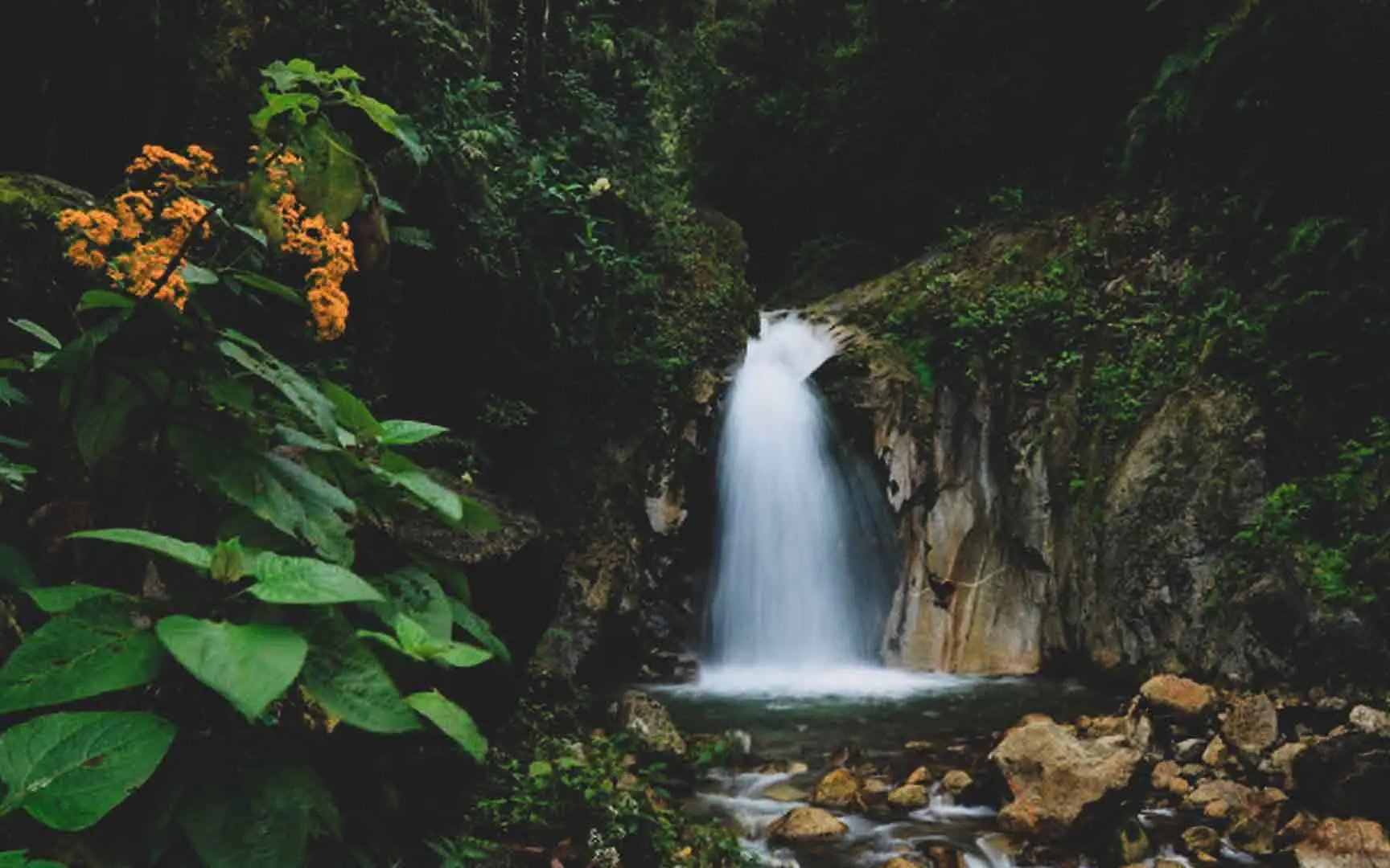 de hidroeléctrica a machu picchu ruta alternativa cascada mandor verde vegetación quillabamba