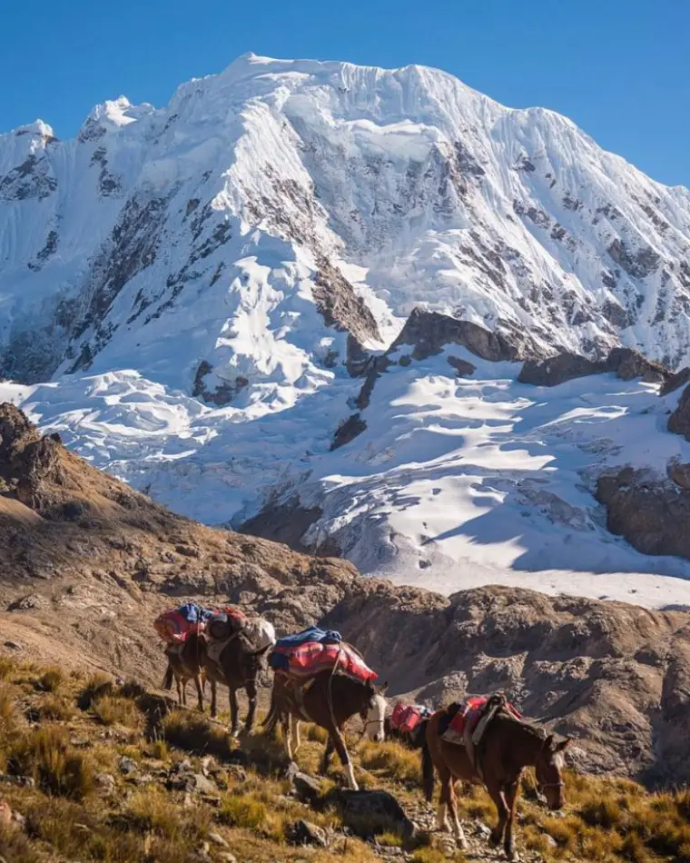 de hidroeléctrica a machu picchu ruta alternativa montaña nieve paisaje salkantay trekking mulas de paso frío