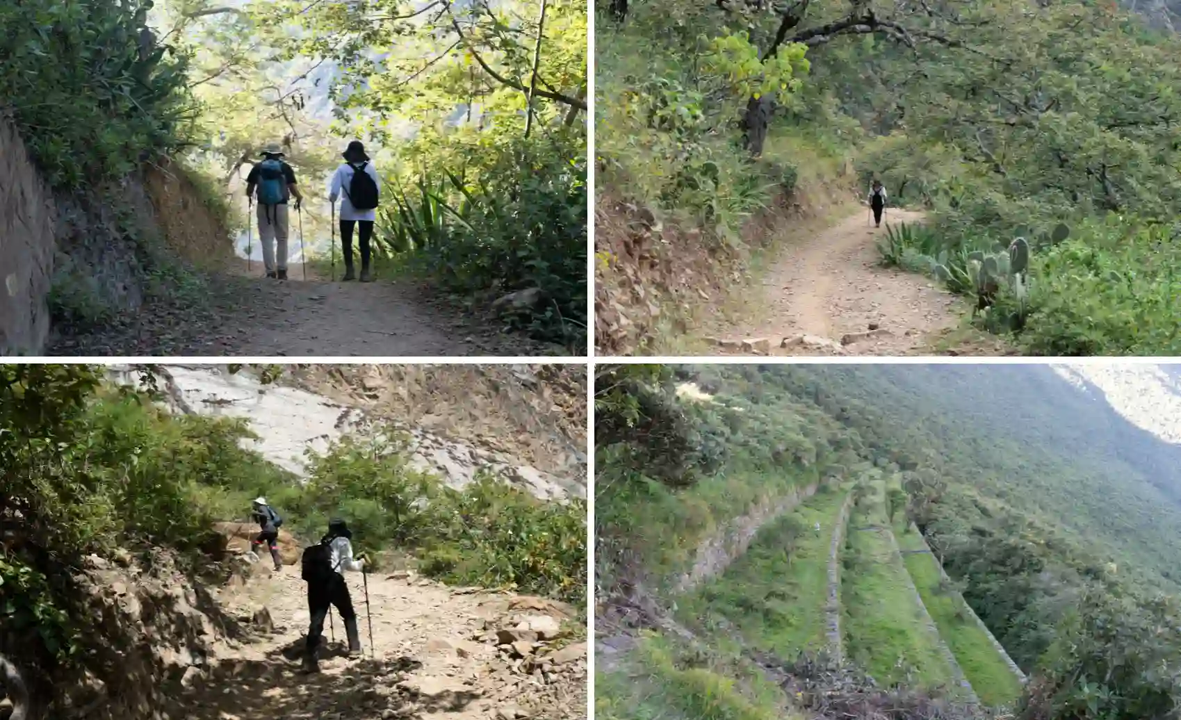 Hikers walking along dry Choquequirao Trek trail with stable ground, Andean slopes and clear sky during peak dry season in Cusco Peru.