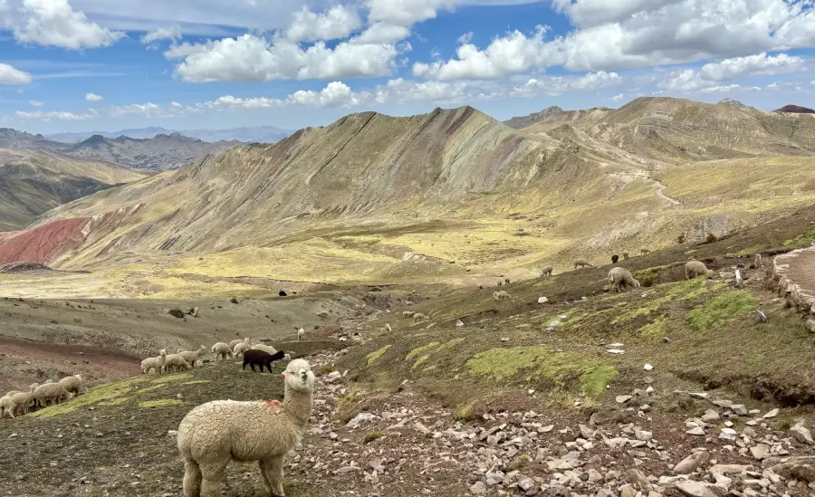 Sendero a la Cordillera de Palccoyo