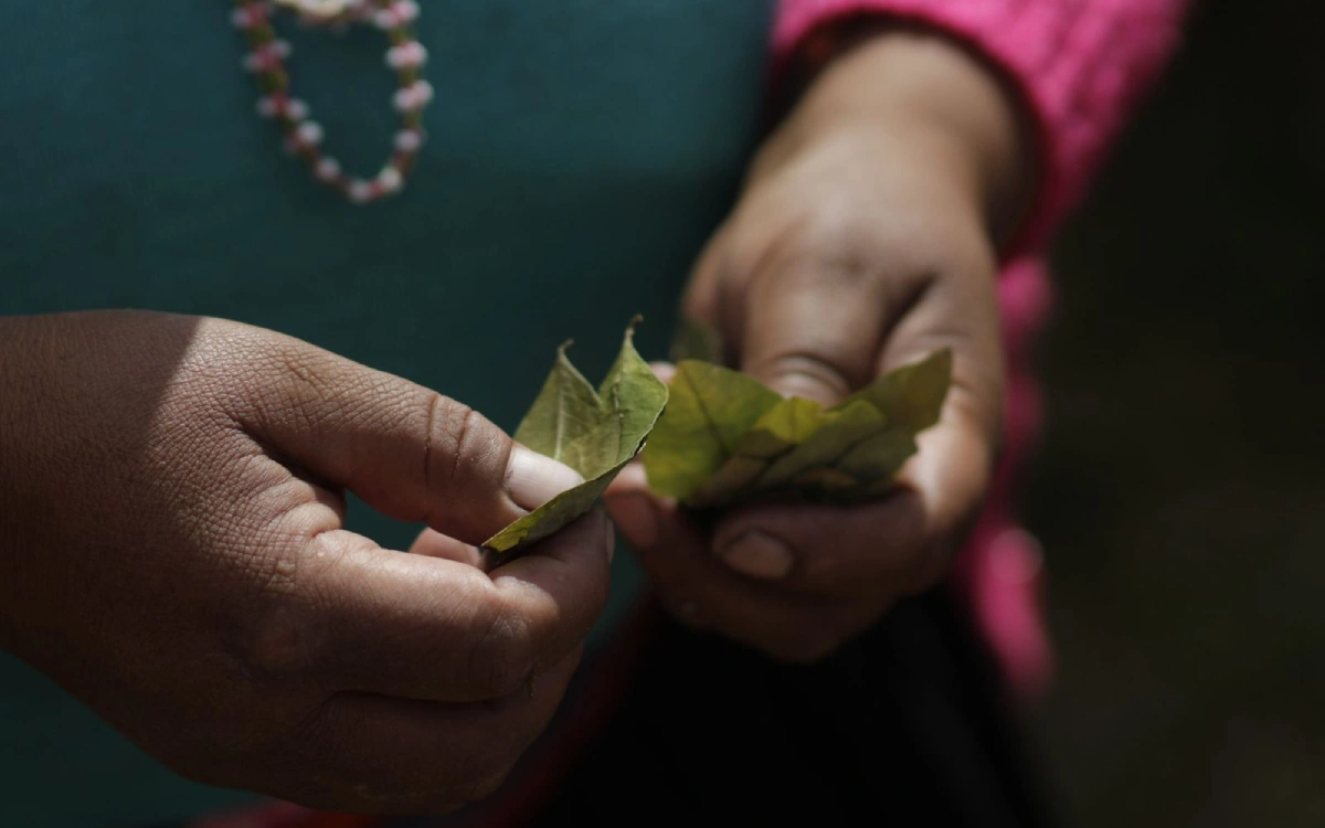 mujer sosteniendo hojas de coca para ofrendar a la pachamama